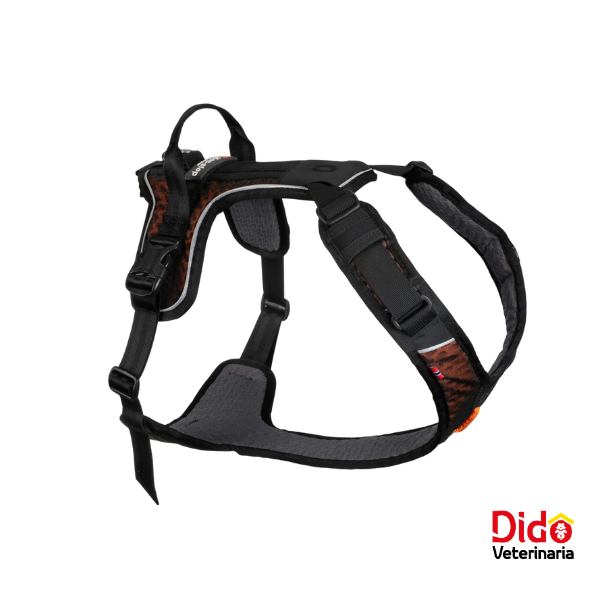 31090-ARNES ROCK LONG NON-STOP DOG