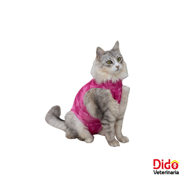 31065-FAJA SUPREME ROSADA GATO (2)