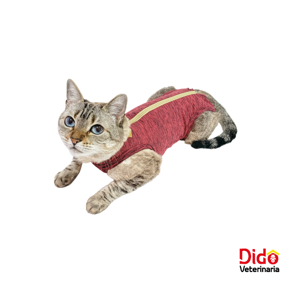 31129-FAJA ROSADA GATO